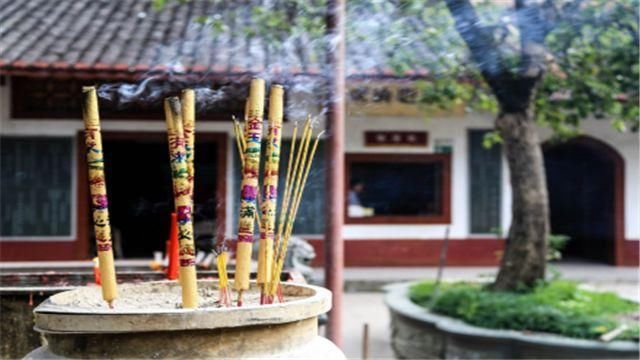 中国这座寺庙有灵气?两棵树，一棵已死但不腐不烂，一棵枝繁叶茂