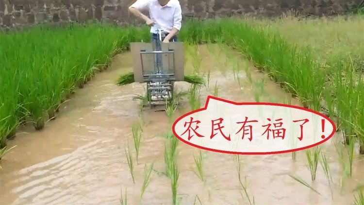  民间|民间牛人发明“手摇式”插秧机，不用油不用电，200元造一