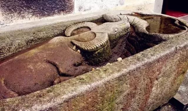 春天最适合一个人小住几日的安静古镇，累了就出去走走！