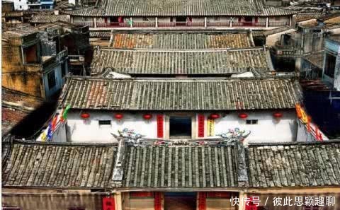 『连成』广东有棵树居然长在大门上, 与门连成一体