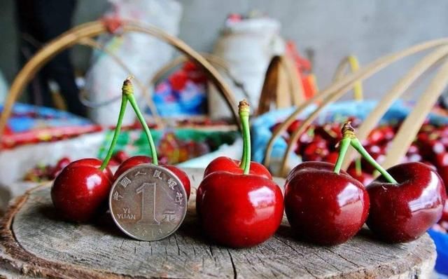  卖不掉@草莓卖不掉，鸡蛋价格没白菜高，又一突发事件让养殖业受