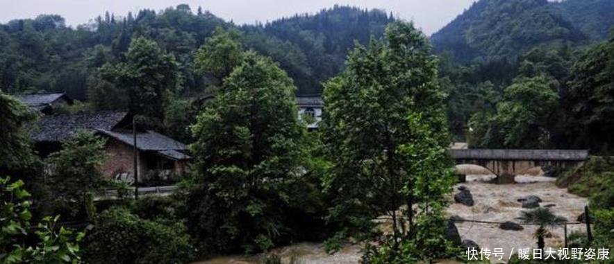  「我国」“黄泉路”出现了在我国被列为禁区，种种怪象科学都无