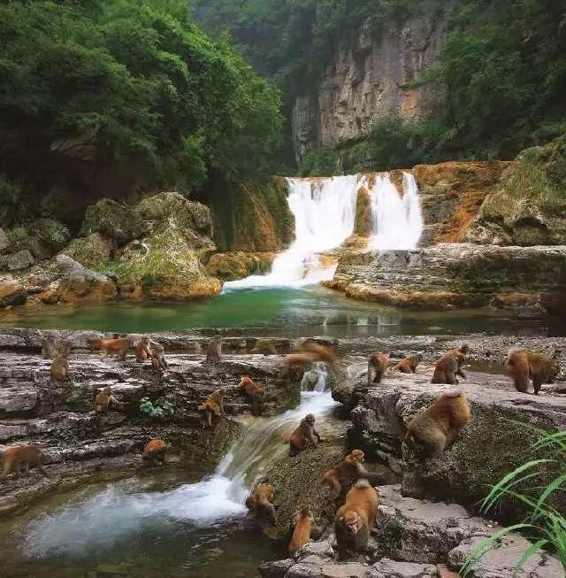 紧急通知！五台人近期不要去这些地方了！