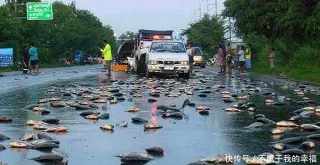 农村老话“有水就生鱼，鱼从天上来”，天上为什么会“下鱼”