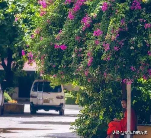 刚从老挝回来,告诉你一个真实的老挝!