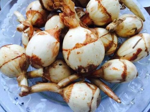 农村水沟旁常长一野菜，不仅能吃还能入药，市场上一斤能卖20元