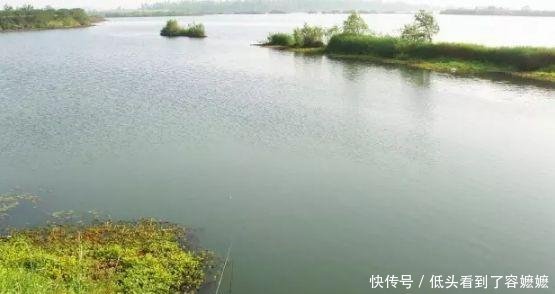  『特别』野钓水底情况复杂，这些好钓位别错过！