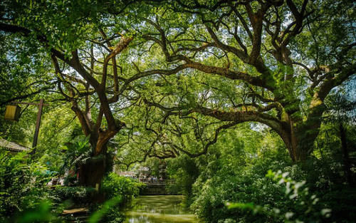  #桂林#广西这座城是未来之星，不是桂林也不是喝贺州，未来将一