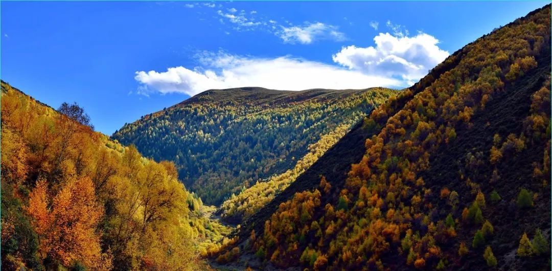 它只是川西的一个小镇!论美却惊艳整个四川!