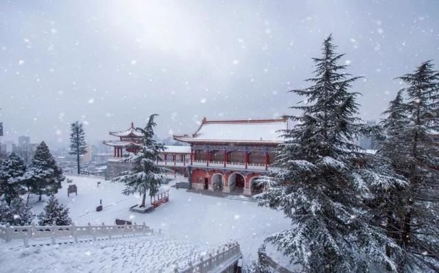 初冬已至，降温来袭 | 陕西这些地方已经下雪啦！想看雪景的走起