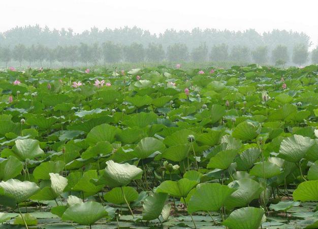 河北即将“腾飞”的城市，曾3次当过省会，未来发展潜力大