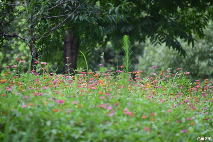 奥迪A6L，宝马X3，奔驰GLB，凯迪拉克CT5，不一样的新感受之九