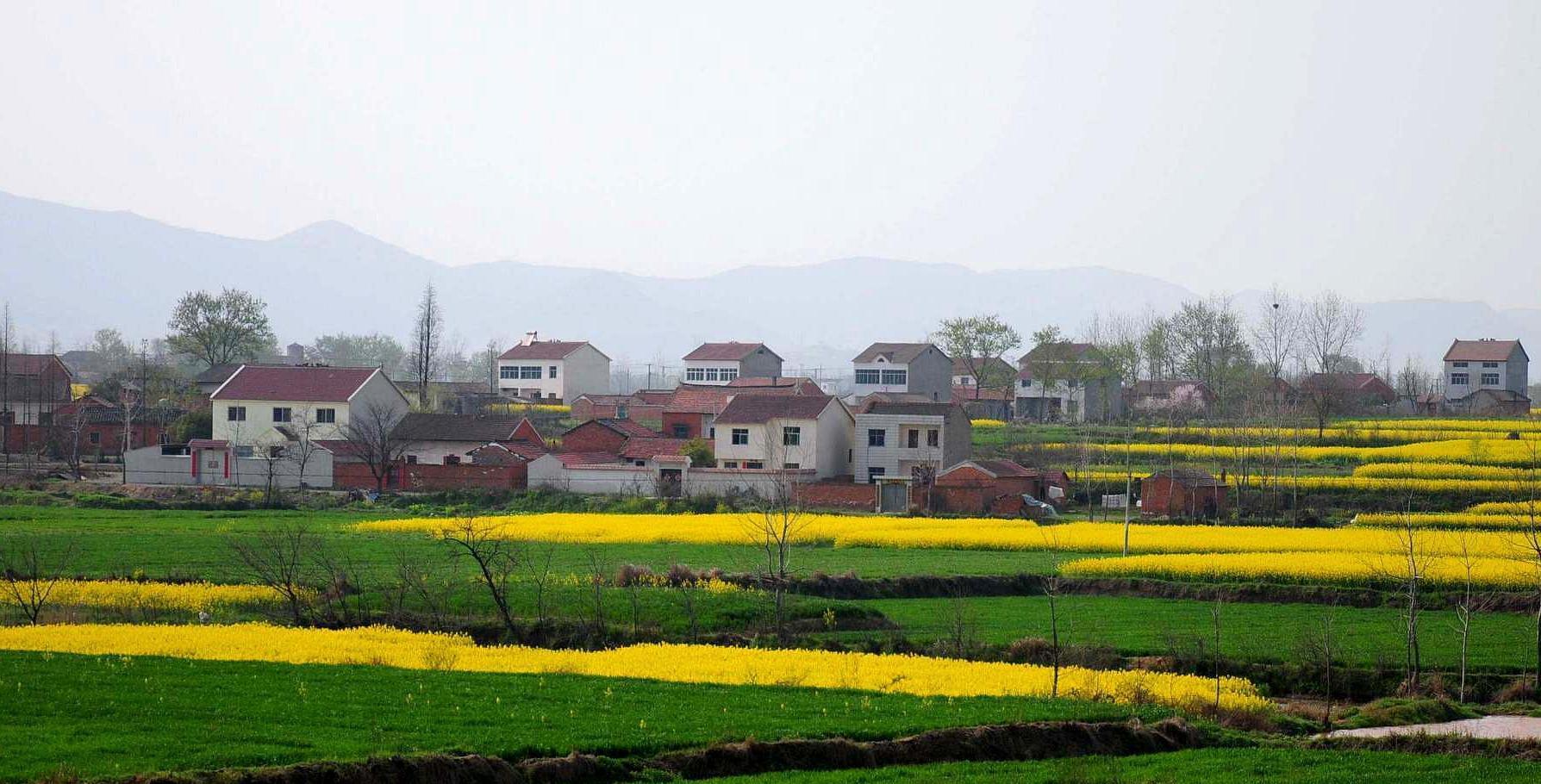  #景点#中国“最美”的4个赏油菜花景点，没有婺源，都很小众