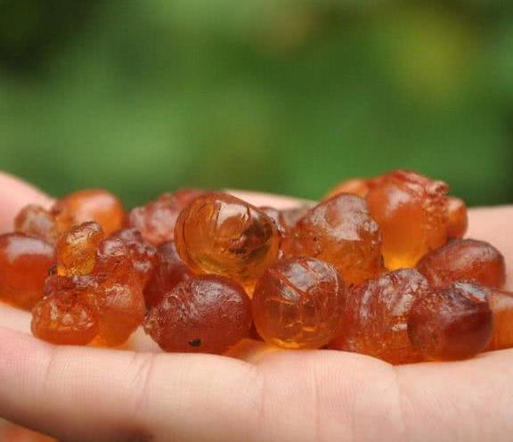 这6种食物别嫌长得丑，女人每天吃一点，排出毒素皮肤水嫩有弹性