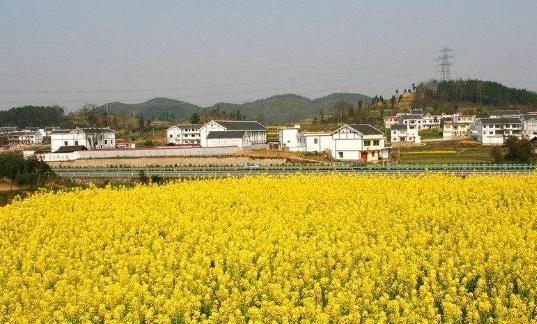 不想辛辛苦苦出去打工，那就选择这几种创业路子，让你轻松赚大钱