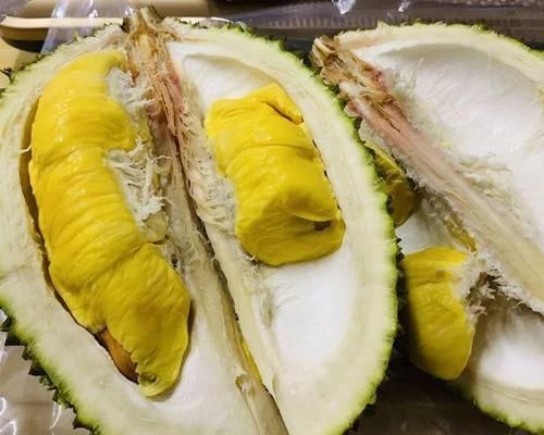  「增加光照」这水果太贵了，吃完留下核，还能种盆栽！
