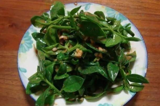 清洗干净■这4种花不仅长得漂亮，掐下叶子就是一盘菜