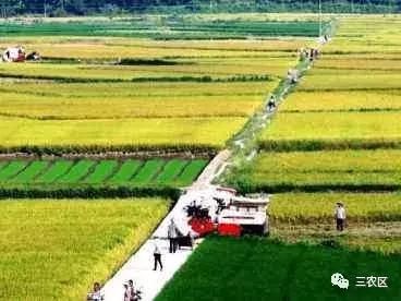 即使有户口却也分不到地？农民很无措，土地改革有新招？