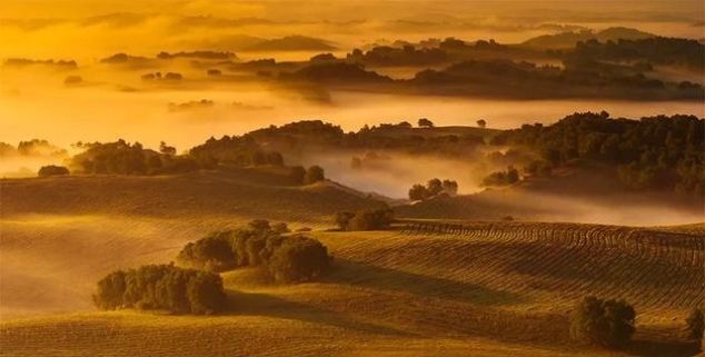 有一种美，叫秋天的乌兰布统