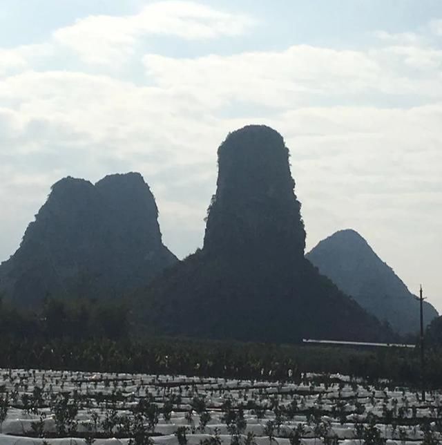  推进农|农业不再辛苦、肮脏、挣钱，而是有前途的