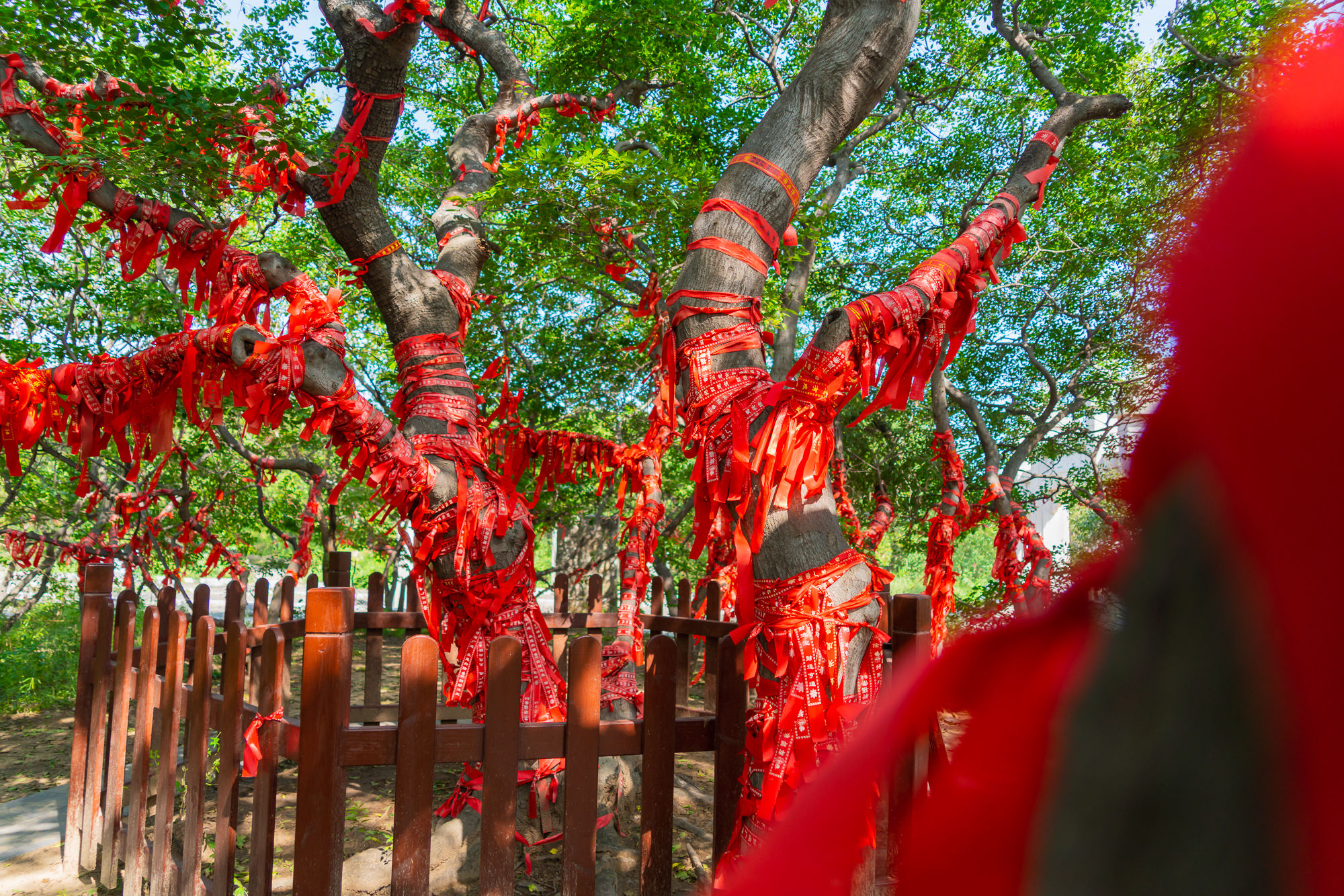 用三天两夜的时间，在风光秀美、沙暖潮平所在，找寻最正宗的唐山