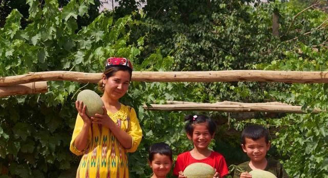 村干部紧急通知，农村3种作物已被国家禁止种植，不知情会被严惩