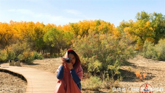 额济纳最牛的树，胡杨林的标志和形象，秋天叶子特别漂亮
