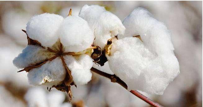 会呼吸的内衣!比裸睡还舒服，穿上降温5度，堪称移动小空调!