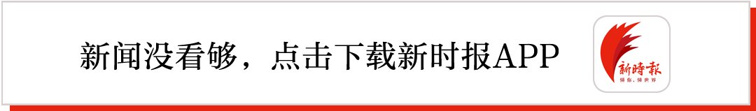  『麦田』济南这段绿化带，长出2000㎡麦田