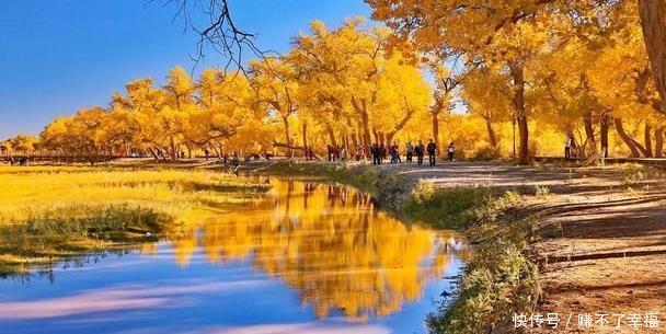 额济纳旗胡杨林:中国最美的胡杨林,也是电影的取景地,值得一去