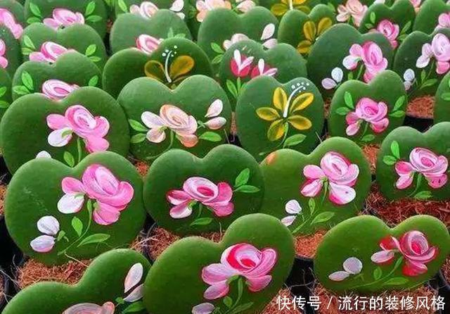  [喜欢]超级耐阴的球兰，养1盆能爬上窗台、房顶，开花比香水还香