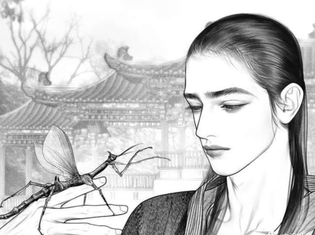 『绝世美人』别私藏你喜爱的创作者