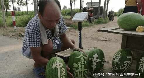  「儿子」老汉西瓜卖不出去堆积成山，可听了他儿子意见后，西瓜