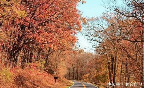 河南最美的自驾游路线,遍地都是红叶,被誉为“草原天路”!