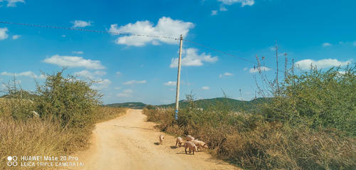 你根本想不到，在昆明周边，居然藏着一个像西藏的美丽地方