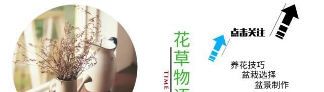 『山上』山上一种“野地瓜”,果实香甜味美,爱“藏”进土中,如今少见