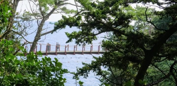 去了伊豆，才知道日本的美可以这样沁人心脾