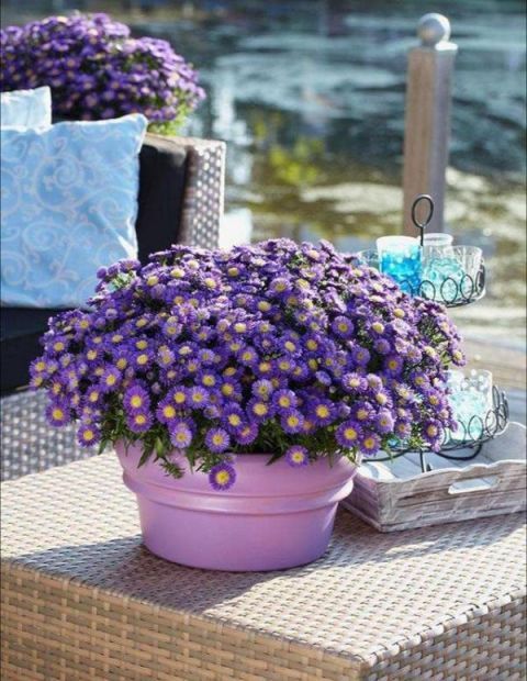 庭院不需太奢华，或一盆花，或一个老物件就能让庭院惬意起来