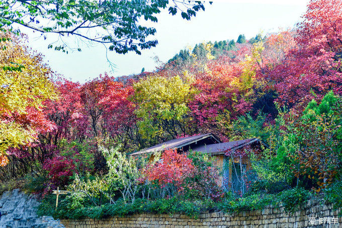 红遍万山的红叶谷【2020热门旅游景点】