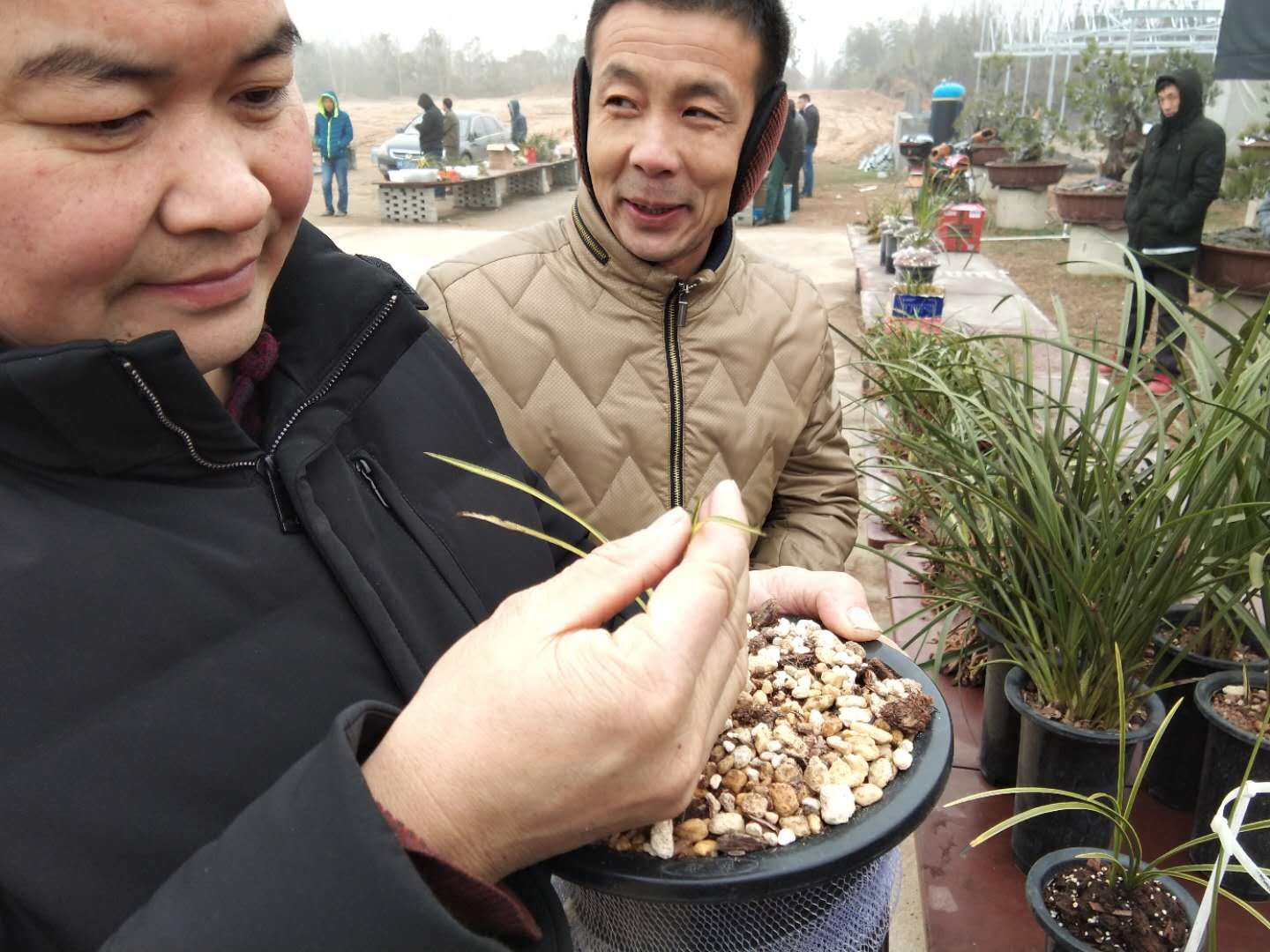 农民寻到的精品兰花，都会拿到这个兰花市场，各种兰花尽收眼底