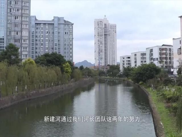 这个苍南人的倾情投入让这条“臭水河”变身“风景河”