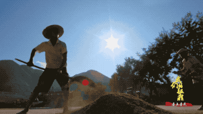  「创造奇迹」中国碗里装满中国粮！看，这片神奇的土地如何创造