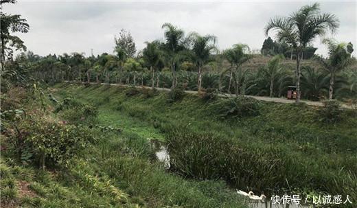  「重庆」四川乐至县，位于成都重庆之间，是陈毅元帅故乡