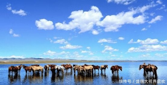 中国称蒙古国为“外蒙”，听到他对我们的2字称呼，网友直呼心寒