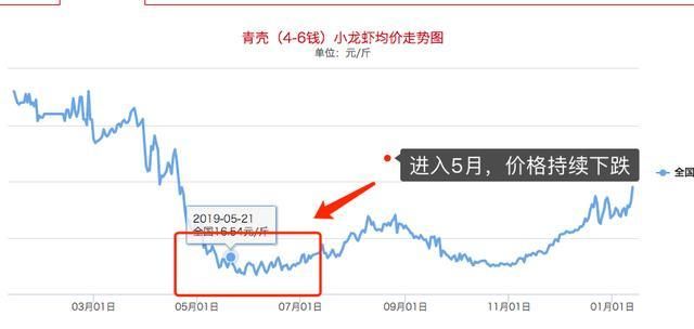  [大规格的小龙虾]小龙虾养殖的怪事：前期苗子很多的塘口却起不