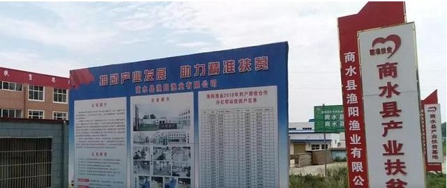  「小龙虾」你们口中的小龙虾，超过一半来自河南的这个县城！