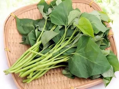 辟谣感冒发烧不能吃鸡蛋？菌类和茄子同食会致死？近期食药十大谣