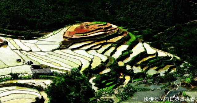  【高速】广西这个县厉害了! 高速公路贯通全县乡镇, 县域经济腾