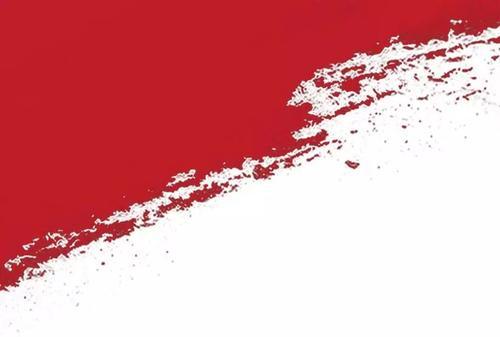 廉江:实施名校战略 打造粤西教育新高地,廉江