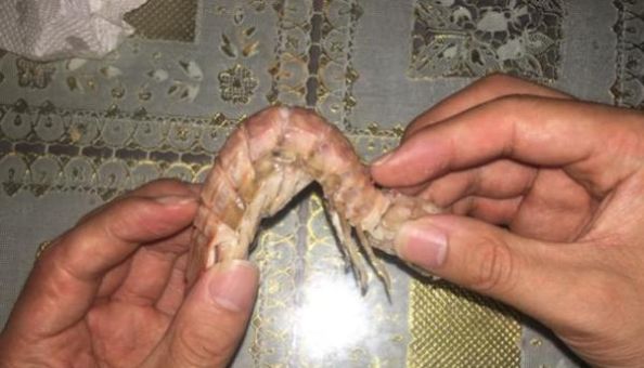 记住虾爬子上有个开关，虾肉一拉就出来